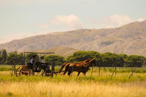 Cabañas La Esperanza – Photos 5