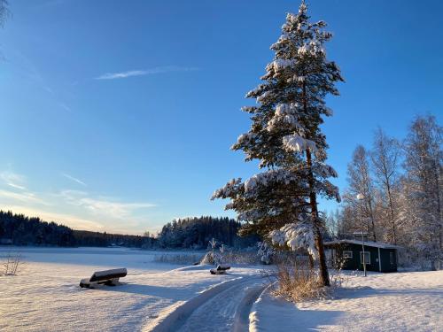 Gallery image of Salonsaaren Lomakylä in Asikkala