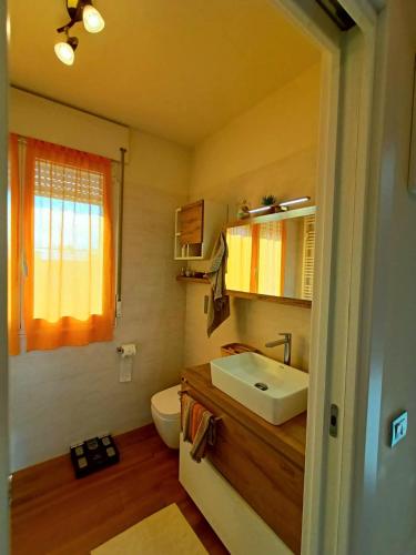 a bathroom with a sink and a toilet at Relaxing apartment near Milan in Vimodrone