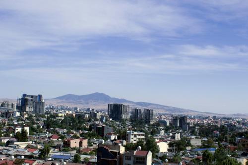a city with buildings and mountains in the background at Aselefech Merga Hotel and Spa in Addis Ababa