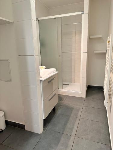 a bathroom with a shower and a sink and a mirror at Résidence Océane in Avrainville