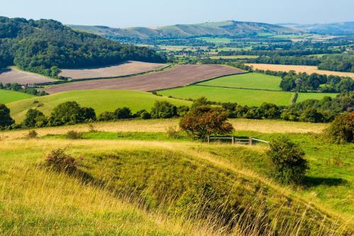 a green hillside with a fence in a field at The Waves by inspirestays-com in Rustington