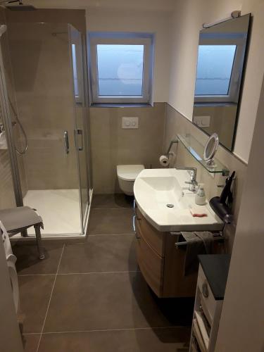 a bathroom with a shower and a sink and a toilet at Ferienwohnung Brehmbachgrund in Tauberbischofsheim