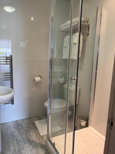 a bathroom with a toilet and a glass shower at Armada Apartment in Redcar