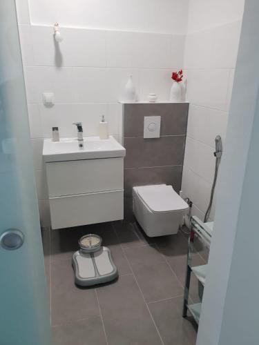 a small bathroom with a sink and a toilet at Ferienwohnung in Aflenz Kurort in Aflenz Kurort
