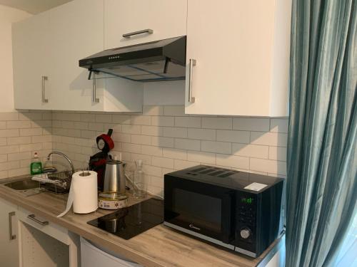 Kuchyňa alebo kuchynka v ubytovaní Appartement T2 Paray vieille poste