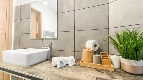 uma casa de banho com um lavatório branco e um espelho. em HOMEY WALTER - Proche Gare - Balcon privé - Wifi em La Roche-sur-Foron