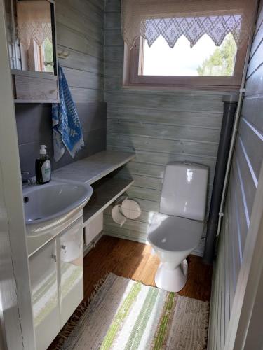 ein kleines Bad mit WC und Waschbecken in der Unterkunft Villa Mummola Kahden makuuhuoneen huoneisto lähellä jokea in Simpele