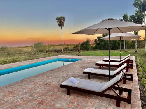 a pool with two lounge chairs and an umbrella at Estancia Iberá in Colonia Carlos Pellegrini