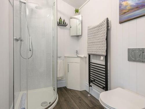 ein Bad mit einer Dusche, einem WC und einem Waschbecken in der Unterkunft The Pavilion in Horbling
