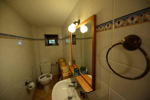 een badkamer met een wastafel, een toilet en een spiegel bij Aronia Stone House in Lafkos