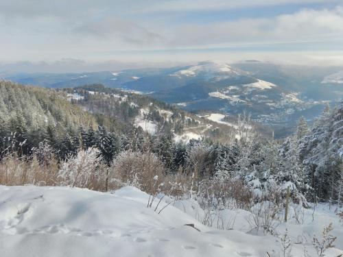 a snow covered mountain with trees and mountains in the distance at Grand Mobil Home 6 personnes climatisé avec 3 chambres et 2 salles de bains à Munster en Alsace in Munster