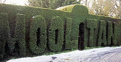Φωτογραφία από το άλμπουμ του Mooltan House σε Hepburn Springs