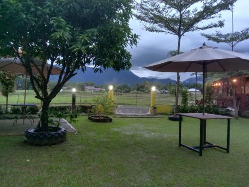a table with an umbrella next to a tree at AMBOW Homestay Jungle Trekking & Village Tour in Bukit Lawang