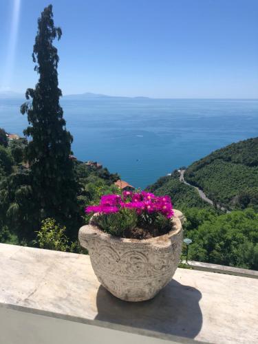 a large stone planter with purple flowers on a ledge at Casa Flora in Vietri sul Mare