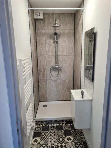 une salle de bain avec douche et lavabo dans l'établissement Sadi Carnot Appartement, à Dijon