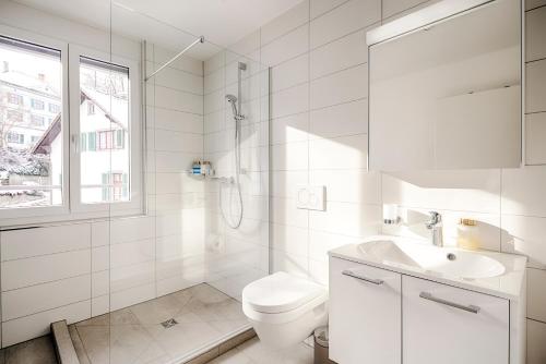 a white bathroom with a toilet and a sink at EH Apartments Jupiter in St. Gallen