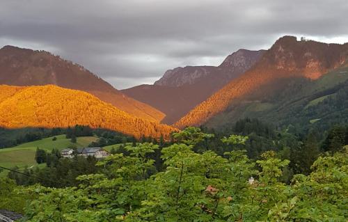 a view of a valley with trees and mountains at Hof zur Steinwänd in Micheldorf in Oberösterreich
