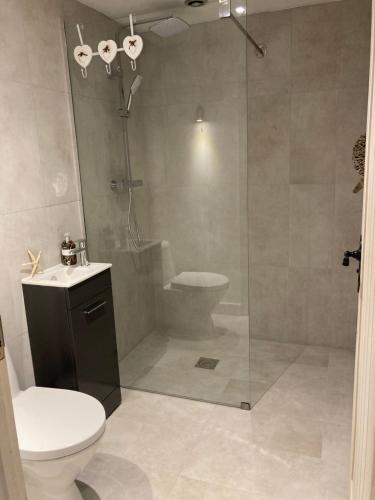 a bathroom with a shower and a toilet and a sink at The coach house in Grimston