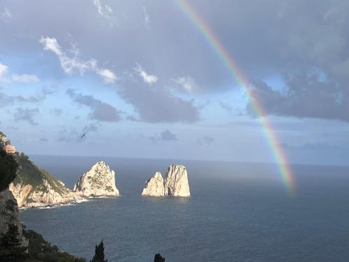 VILLA OLGA LUXURY CAPRI – Photos 3