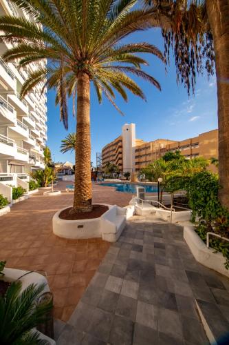 Ponderosa 807, Las Americas, one bedroom apartment with large terrace and ocean view, next to Siam Park