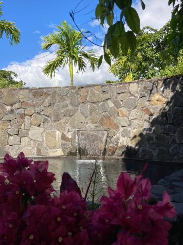 a stone wall next to a pond with purple flowers at Habitation Saint Charles - Hôtel de Charme & Spa in Petit-Bourg
