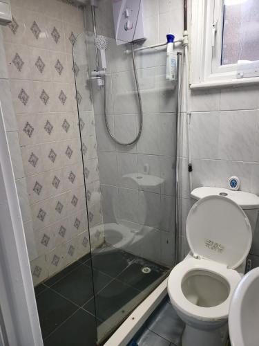 a small bathroom with a shower and a toilet at Homey Flat in Tooting in London