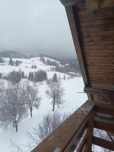 a view of a snow covered field from a cabin at Casa Calea Haiducilor in Sohodol