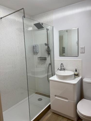 a bathroom with a shower and a sink and a toilet at Glastonbury High Street Sanctuary- 2 BD, Sleeps 4 in Glastonbury