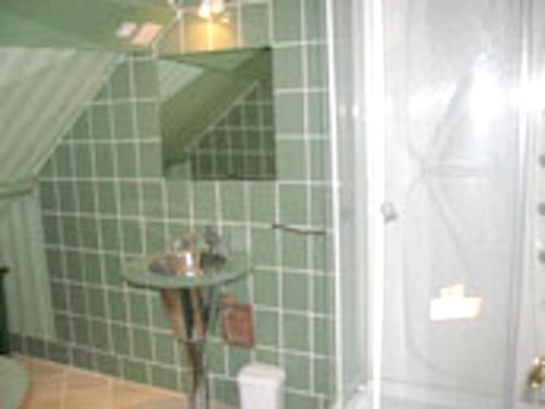 a green tiled bathroom with a sink and a shower at Maison spacieuse avec jardin à Morannes sur Sarthe in Saint-Germain