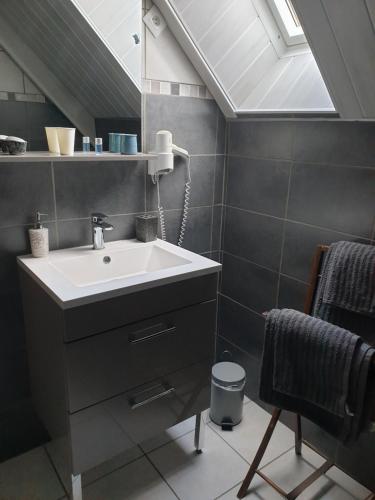 a bathroom with a sink and a skylight at Au Chardon Bleu in Nesle