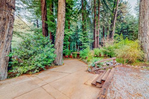 Fern Haven – Photos 4