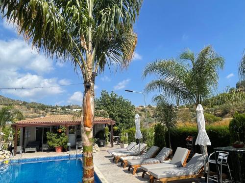 a pool with lounge chairs and a palm tree at SOFROS VALLEY HILLS CHALET in Ayios Mamas