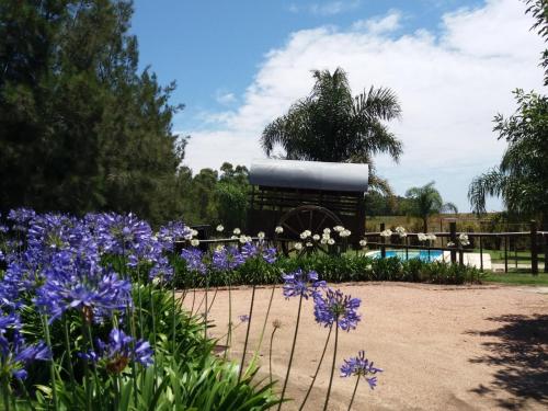 a garden with purple flowers and a tractor in the background at Estancia Renacimiento in Atlántida