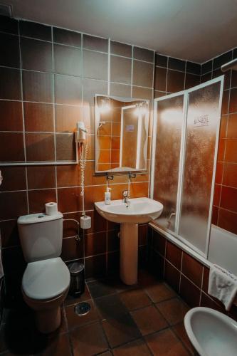 a bathroom with a toilet and a sink and a shower at Apartamentos Boabdil in Sierra Nevada