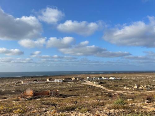 a group of animals in a field with the ocean at Spinguera Ecolodge in Espingueira