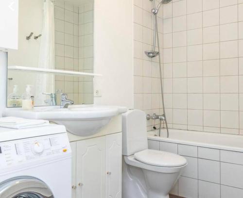 W łazience znajduje się toaleta, umywalka i pralka. w obiekcie Cozy apartment in Akureyri w Akureyri