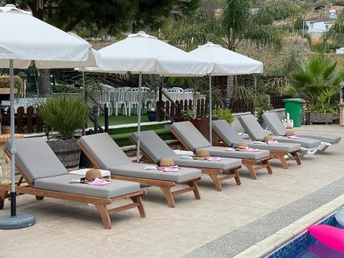 a row of lounge chairs and umbrellas next to a pool at SOFROS VALLEY HILLS CHALET in Ayios Mamas
