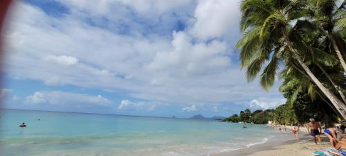 a beach with palm trees and people in the water at VILLA CARAIBES vue mer exceptionnelle in Le Marin