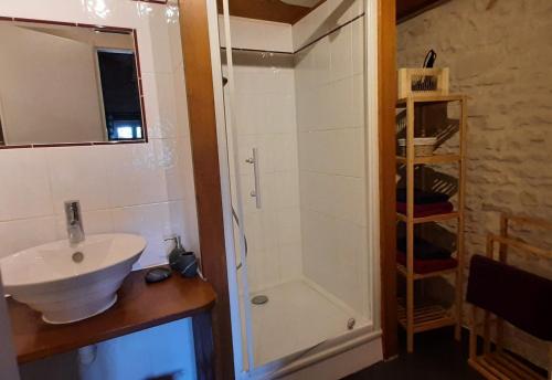 y baño con lavabo y ducha. en LA ROCHELLE LODGE en Sainte-Soulle