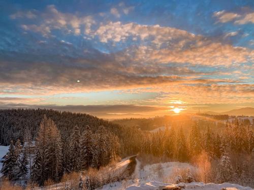 a sunset over a snow covered forest with the sun setting at Rich OAK - готель з відкритим панорамний басейном in Yablunytsya