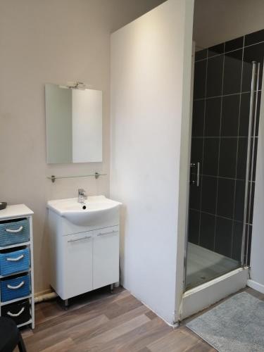 a bathroom with a sink and a shower at Sainte Cécile in Boulogne-sur-Mer