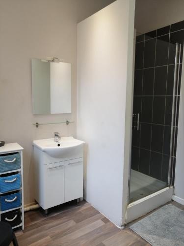 un bagno con lavandino e doccia di Sainte Cécile a Boulogne-sur-Mer