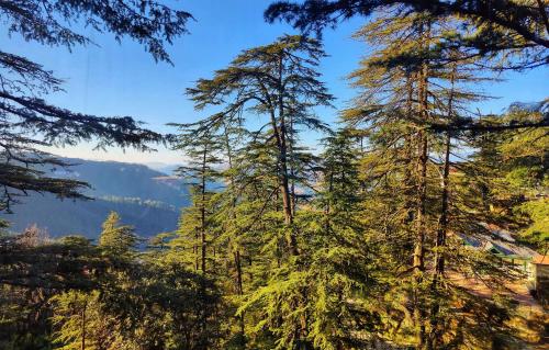 a view of the mountains from the forest at Royale Retreat Hotel & Spa Near Mall Road in Shimla