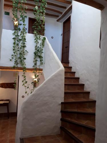 a staircase in a house with white walls and plants at La Posada Amena in Carcabuey