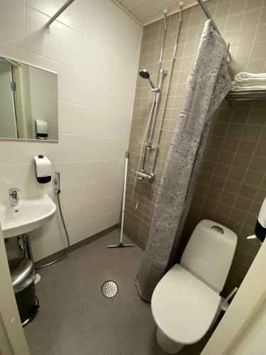 a bathroom with a shower and a toilet and a sink at Akselin & Elinan Asema Oy in Pyhäntä