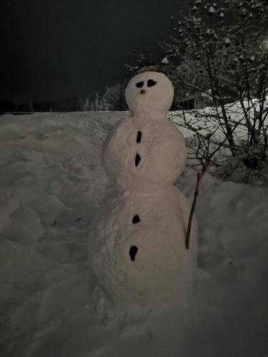 a snowman is standing in the snow at Ferienwohnung - Haus Monika in Philippsreut