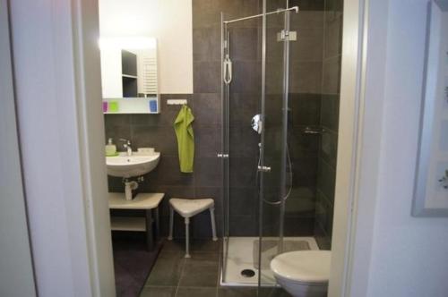 y baño con ducha, aseo y lavamanos. en Ferienhaus "Ferme d'Alma", Wohnung "Moderne" en Ocourt