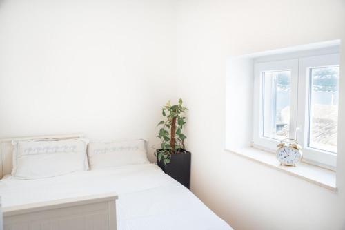um quarto branco com uma cama e uma janela em Old Town Watch&C em Korčula