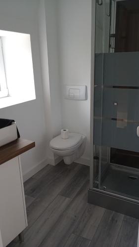 a bathroom with a toilet and a glass shower at Logement avec tranquillité absolue in Hamel ès Ronches